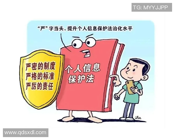《法律视角下的数字隐私保护与个人信息安全研究》