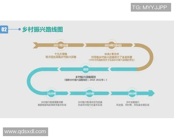 以交通发展为核心推动城市可持续发展与社会经济进步的路径探索