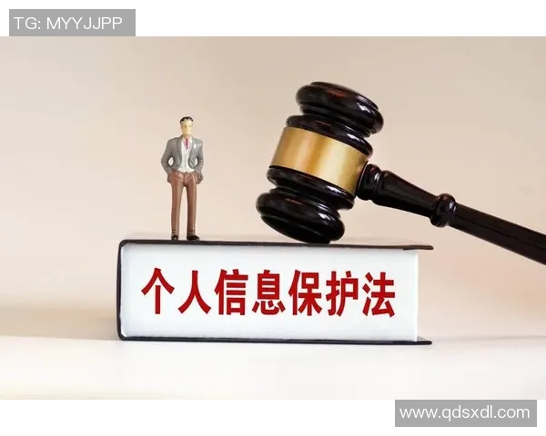 《法律视角下的数字隐私保护与个人信息安全研究》