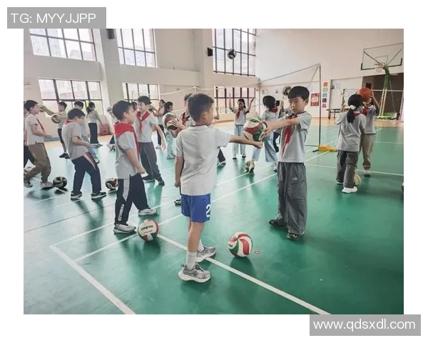南京排球队的转换体系与战术创新探讨